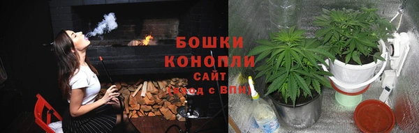трава Аркадак