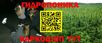 гашиш Свободный