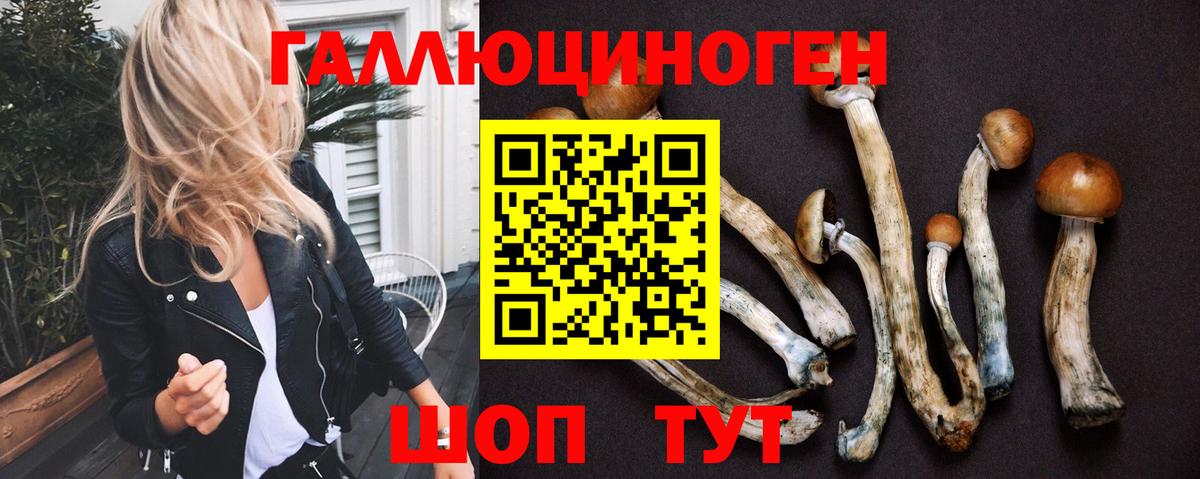 Псилоцибиновые грибы Psilocybe  Вход с VPN  Ухта  Псилоцибиновые грибы прущие грибы 
