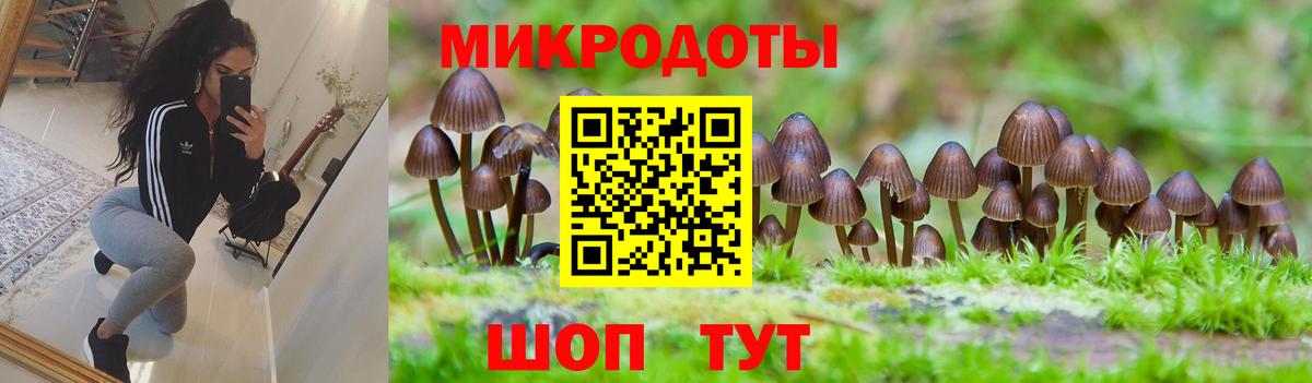 Галлюциногенные грибы ЛСД Ухта