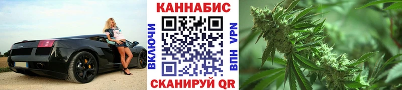 Марихуана план  как найти   Ухта 